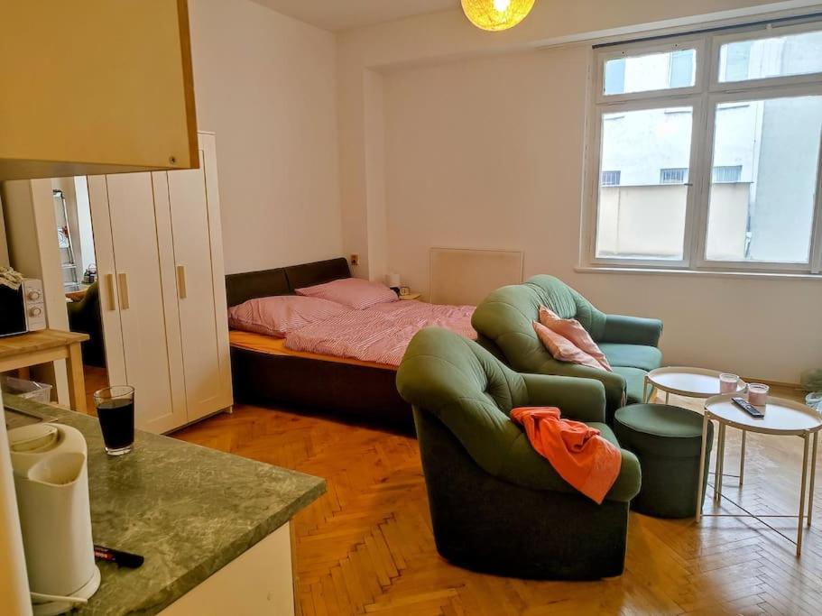Cosy Warm Apartment In The Heart Of Prague. Exteriér fotografie